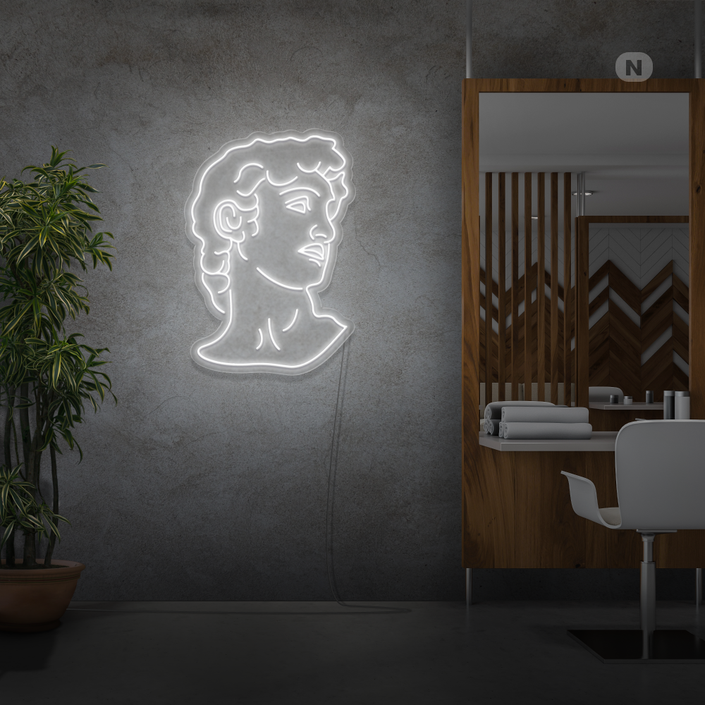 Neon Verlichting Michelangelo's David