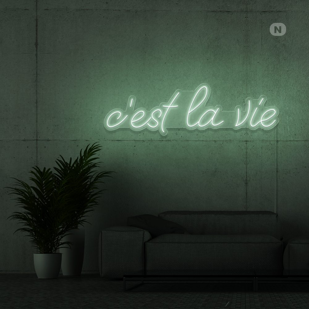 Neon Verlichting c'est la vie (RGB)
