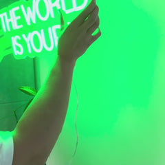 Neon Verlichting The World Is Yours